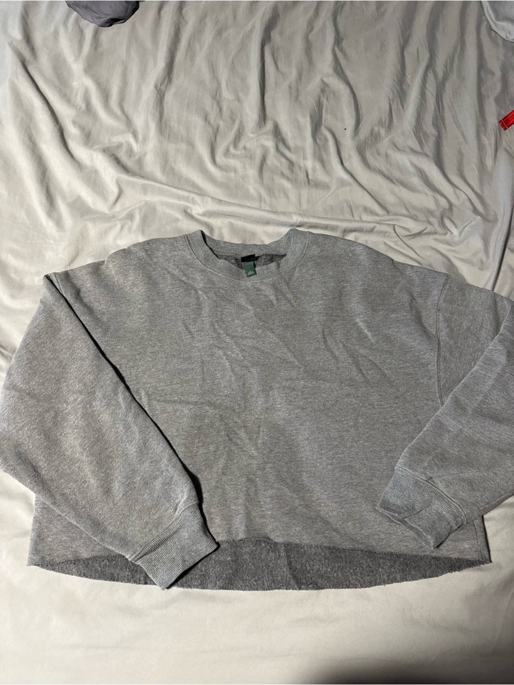 wild fable women's cropped crewneck